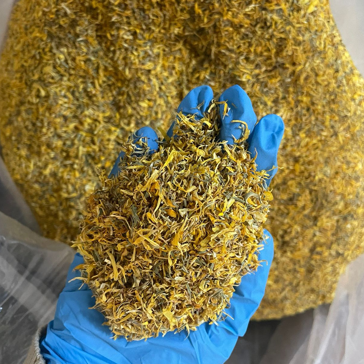 Calendula Flower Petals (Calendula officinalis) - Limited Stock