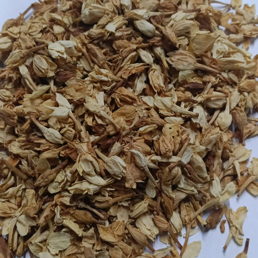 Jasmine Flower - Jasminum Spp