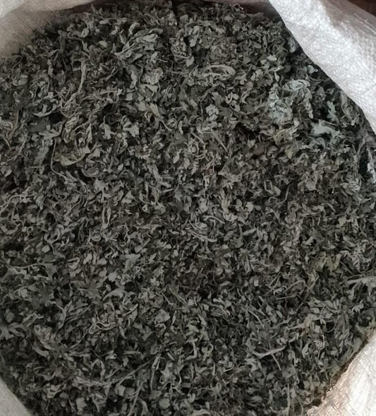 Dry Mugwort leaves (3 Kg) - Packed Dec 25/Expiry May 26