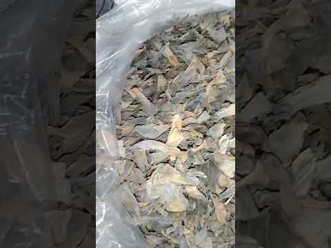 Dried Lotus flower/Kamal phool (5 Kg Available) Packed 17/12/25 - Expiry 16/05/25