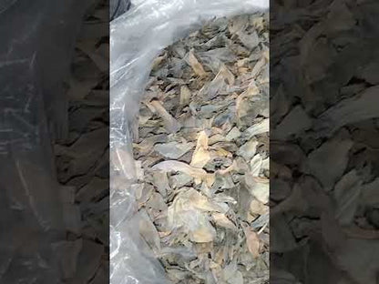 Dried Lotus flower/Kamal phool (5 Kg Available) Packed 17/12/25 - Expiry 16/05/25