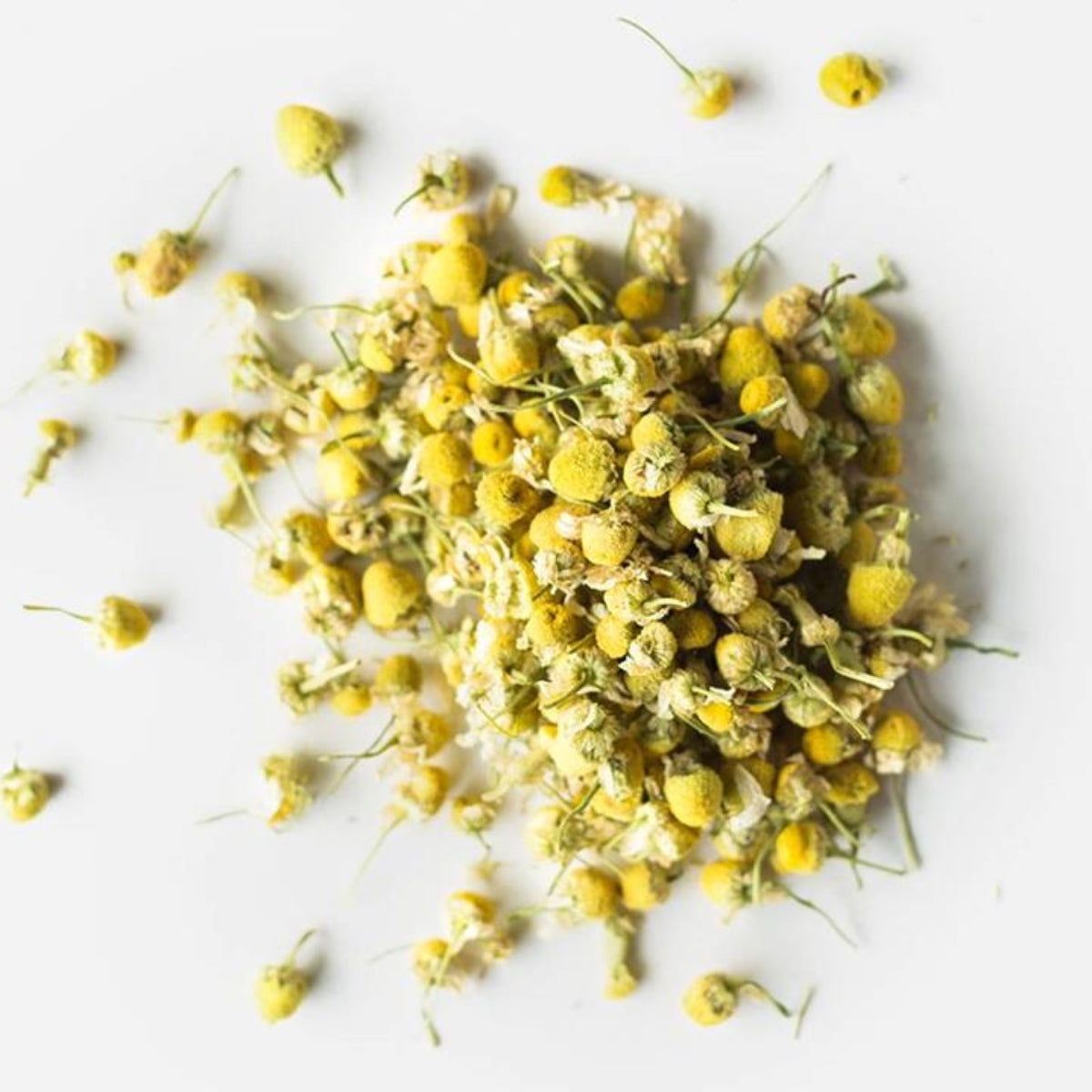 Chamomile Flower